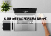 欧盟区块链基金公司[欧盟基金是真的吗]