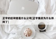 正宇的区块链是什么公司[正宇集团为什么停网了]